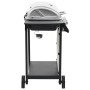 Portable gas barbecue with 6 zones silver stainless steel by , Barbecues - Ref: Foro24-276154, Price: 313,40 €, Discount: %