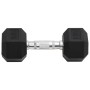 Dumbbells 2 units cast iron 16 kg by , free weight - Ref: Foro24-93603, Price: 75,99 €, Discount: %