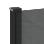 Toldo lateral retráctil gris antracita 140x300 cm de , Sombrillas - Ref: Foro24-4004308, Precio: 82,99 €, Descuento: %