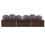 Arriate de jardín de acero galvanizado marrón 480x80x77 cm | Foro24 | Onlineshop