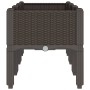 Planter with brown PP legs 120x40x42 cm by , Pots and planters - Ref: Foro24-367900, Price: 70,54 €, Discount: %