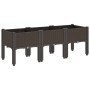 Planter with brown PP legs 120x40x42 cm by , Pots and planters - Ref: Foro24-367900, Price: 70,54 €, Discount: %