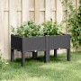 Jardinera con patas PP negro 80x40x42 cm de , Maceteros y jardineras - Ref: Foro24-367893, Precio: 51,97 €, Descuento: %