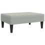 Sofá cama 2 plazas con almohadas taburete terciopelo gris claro de vidaXL, Sofás - Ref: Foro24-3216219, Precio: 344,31 €, Des...