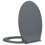 Tapa y asiento de váter con cierre suave ovalada gris de vidaXL, Asientos de inodoros y bidés - Ref: Foro24-145816, Precio: 2...