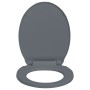 Tapa y asiento de váter con cierre suave ovalada gris de vidaXL, Asientos de inodoros y bidés - Ref: Foro24-145816, Precio: 2...