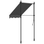 Toldo retráctil de tela y acero gris antracita 100x150 cm de vidaXL, Toldos - Ref: Foro24-368736, Precio: 82,07 €, Descuento: %