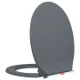 Gray oval quick-release soft-closing toilet seat by vidaXL, Toilet and bidet seats - Ref: Foro24-145817, Price: 30,90 €, Disc...