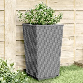 Jardineras 4 unidades PP gris claro 32,5x32,5x57 cm de vidaXL, Maceteros y jardineras - Ref: Foro24-367852, Precio: 121,99 €,...