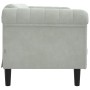 Sofá de 2 plazas terciopelo gris claro