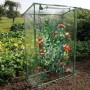 Nature Greenhouse for tomatoes 100x50x150 cm by Nature, Greenhouses - Ref: Foro24-428492, Price: 40,56 €, Discount: %