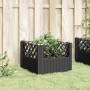 Planter with black PP pegs 43.5x43.5x43.5 cm by vidaXL, Pots and planters - Ref: Foro24-368007, Price: 31,25 €, Discount: %