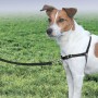 PetSafe Easy Walk Hundegeschirr Schwarz S von PetSafe, Geschirre und Halsbänder für Haustiere - Ref: Foro24-428425, Preis: 19...