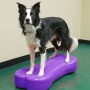 FitPAWS Giant K9FITbone PVC-Balanceplattform für Haustiere, Lila von FitPAWS, Trainingsgeräte für Haustiere - Ref: Foro24-428...