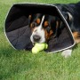 All Four Paws Comfy Cone Haustier-Erholungshalsband schwarz L 25 cm von All Four Paws, Elisabethanische Haustierhalsbänder - ...