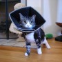 All Four Paws Comfy Cone Haustier-Erholungshalsband schwarz L 25 cm von All Four Paws, Elisabethanische Haustierhalsbänder - ...