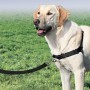 PetSafe Easy Walk Dog Harness Black L by PetSafe, Harnesses and collars for pets - Ref: Foro24-428427, Price: 24,55 €, Discou...