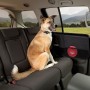 Kurgo Autotürschutz für Hunde, 2 Einheiten von Kurgo, Fahrzeug-Haustierbarrieren - Ref: Foro24-428448, Preis: 38,49 €, Rabatt: %