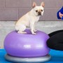 FitPAWS TRAX Donut Pet Balance Ball Purple 55cm by FitPAWS, Pet Exercise Equipment - Ref: Foro24-428432, Price: 69,02 €, Disc...