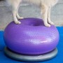 FitPAWS TRAX Donut Pet Balance Ball Purple 55cm by FitPAWS, Pet Exercise Equipment - Ref: Foro24-428432, Price: 69,02 €, Disc...