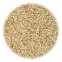 Grass seeds for sports and games 20 kg by vidaXL, Seeds - Ref: Foro24-156363, Price: 117,33 €, Discount: %