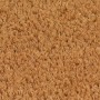 Felpudo de fibra de coco natural 100x200 cm de vidaXL, Felpudos - Ref: Foro24-155568, Precio: 90,44 €, Descuento: %