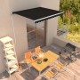 Anthracite gray manual retractable awning 300x250 cm by vidaXL, Awnings - Ref: Foro24-3051197, Price: 246,99 €, Discount: %