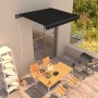 Anthracite gray manual retractable awning 300x250 cm by vidaXL, Awnings - Ref: Foro24-3051237, Price: 202,12 €, Discount: %