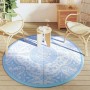 Baby blue PP outdoor rug Ø160 cm by vidaXL, Outdoor protectors - Ref: Foro24-368499, Price: 23,99 €, Discount: %