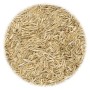 Grass seeds 30 kg by vidaXL, Seeds - Ref: Foro24-156359, Price: 192,64 €, Discount: %