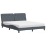 Cama con colchón terciopelo gris oscuro 160x200 cm de vidaXL, Camas y somieres - Ref: Foro24-3208665, Precio: 493,26 €, Descu...