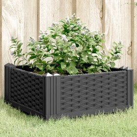 Planter with pegs PP black 42.5x42.5x28.5 cm by vidaXL, Pots and planters - Ref: Foro24-368002, Price: 21,99 €, Discount: %