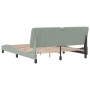 Estructura cama con luces LED terciopelo gris claro 160x200 cm de vidaXL, Camas y somieres - Ref: Foro24-3213861, Precio: 227...