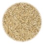 Grass seeds for sports and games 30 kg by vidaXL, Seeds - Ref: Foro24-156364, Price: 169,24 €, Discount: %