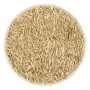 Grass seeds for dry and warm areas 10 kg by vidaXL, Seeds - Ref: Foro24-156366, Price: 65,06 €, Discount: %