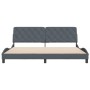 Estructura cama con cabecero terciopelo gris oscuro 200x200 cm de vidaXL, Camas y somieres - Ref: Foro24-3207942, Precio: 235...