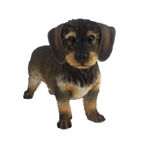 Esschert Design Wirehaired Dachshund Statue 50x15x27.8 cm by Esschert Design, Lawn Ornaments and Garden Sculptures - Ref: For...