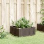 Planter with pegs PP brown 42.5x42.5x28.5 cm by vidaXL, Pots and planters - Ref: Foro24-368001, Price: 21,99 €, Discount: %