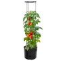 Anthrazitgrauer Tomatenpflanzer aus Polypropylen Ø39x150 cm von vidaXL, Töpfe und Pflanzgefäße - Ref: Foro24-152210, Preis: 4...