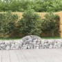 Gabion baskets 11 units, arched shape, iron, 200x30x40/60 cm by vidaXL, Pots and planters - Ref: Foro24-3146056, Price: 481,2...