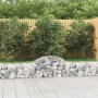 Gabion baskets 12 pcs arch shape iron 200x30x40/60 cm by vidaXL, Pots and planters - Ref: Foro24-3146057, Price: 517,15 €, Di...