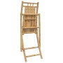 Folding garden chairs 2 units bamboo 46x66x99 cm by vidaXL, Garden chairs - Ref: Foro24-368037, Price: 162,91 €, Discount: %