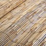 Garden reed fence 500x100 cm by vidaXL, fence panels - Ref: Foro24-141618, Price: 26,41 €, Discount: %