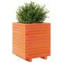 Solid wax brown pine wood planter 40x40x49.5 cm by vidaXL, Pots and planters - Ref: Foro24-3282511, Price: 108,56 €, Discount: %