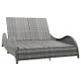 Double sun lounger with anthracite gray synthetic rattan cushion by vidaXL, Outdoor beds - Ref: Foro24-49495, Price: 357,48 €...