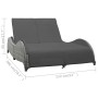 Double sun lounger with anthracite gray synthetic rattan cushion by vidaXL, Outdoor beds - Ref: Foro24-49495, Price: 357,48 €...