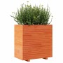 Solid wax brown pine wood planter 70x40x72 cm by vidaXL, Pots and planters - Ref: Foro24-3282631, Price: 197,69 €, Discount: %