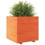 Solid wax brown pine wood planter 70x70x72 cm by vidaXL, Pots and planters - Ref: Foro24-3282621, Price: 250,74 €, Discount: %