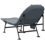 Tumbona de pesca con patas para barro plegable gris de vidaXL, Catres - Ref: Foro24-4006424, Precio: 112,34 €, Descuento: %