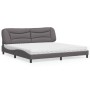 Bett mit grauer Kunstledermatratze 200x200 cm von vidaXL, Betten und Lattenroste - Ref: Foro24-3208748, Preis: 522,09 €, Raba...